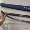 ShenGuangLong Taiji Sword